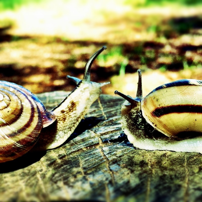 f:id:sixx-nine:20150516193529j:plain