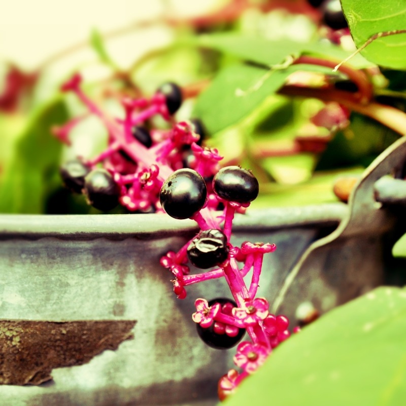 f:id:sixx-nine:20150516200735j:plain