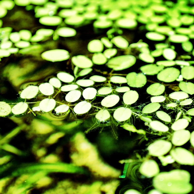 f:id:sixx-nine:20150516201054j:plain