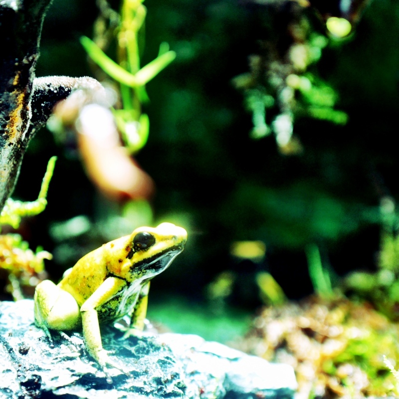 f:id:sixx-nine:20150516201113j:plain