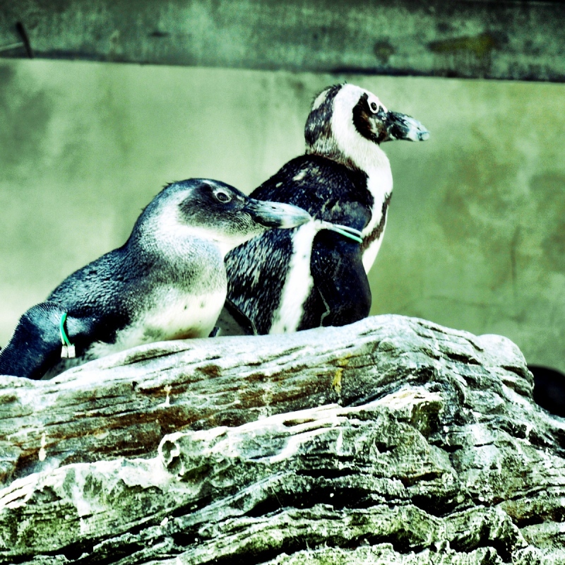 f:id:sixx-nine:20150516201122j:plain