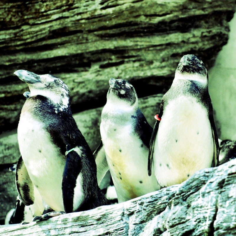 f:id:sixx-nine:20150516201130j:plain