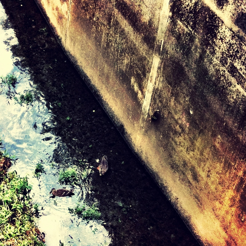 f:id:sixx-nine:20150516202607j:plain