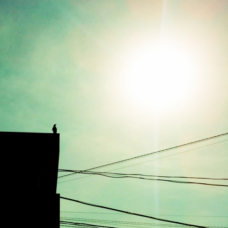 f:id:sixx-nine:20150527062840j:plain