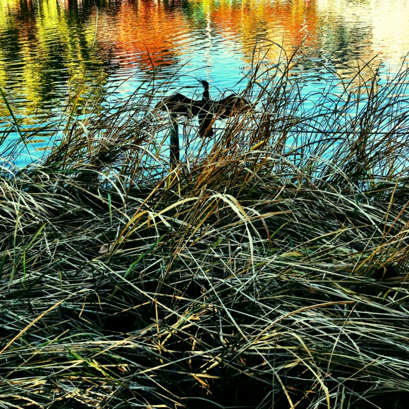 f:id:sixx-nine:20150529212723j:plain