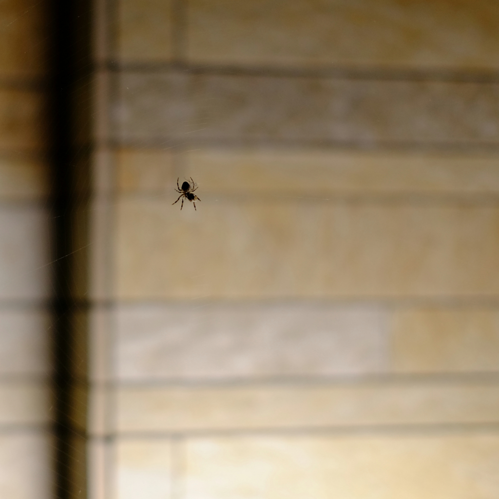 f:id:sixx-nine:20150722013448j:plain