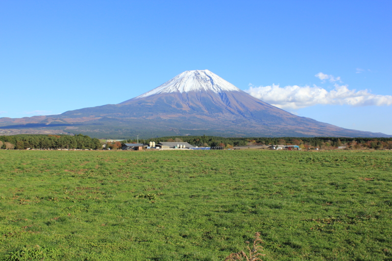 個別「朝霧高原からの富士山 （静岡県富士宮市）」の写真、画像 静岡県 skno11旅写真館