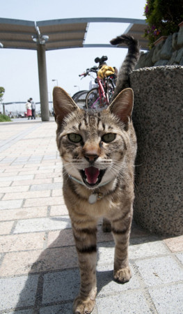 f:id:skrb:20151225213356j:image f:id:skrb:20151225213356j:image