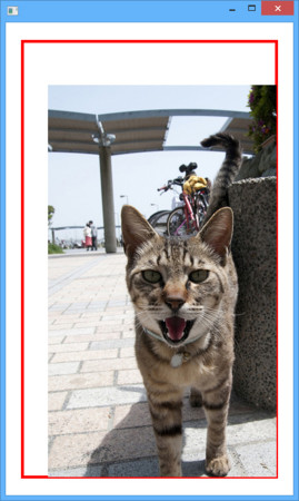 f:id:skrb:20151225220902j:image f:id:skrb:20151225220902j:image