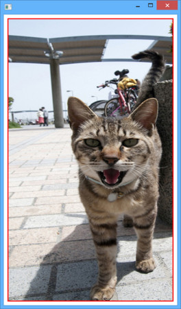 f:id:skrb:20151225222326j:image f:id:skrb:20151225222326j:image