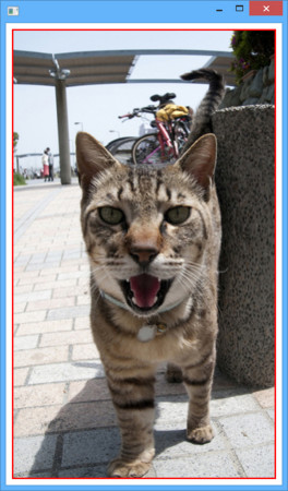 f:id:skrb:20151225223644j:image f:id:skrb:20151225223644j:image