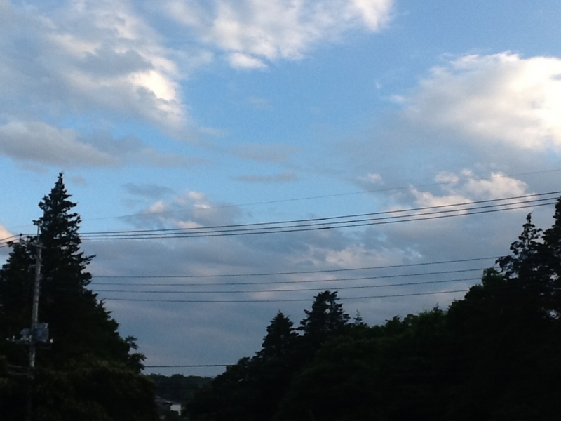 f:id:sky_blue_cherry_tree:20130623070633j:plain f:id:sky_blue_cherry_tree:20130623070633j:plain