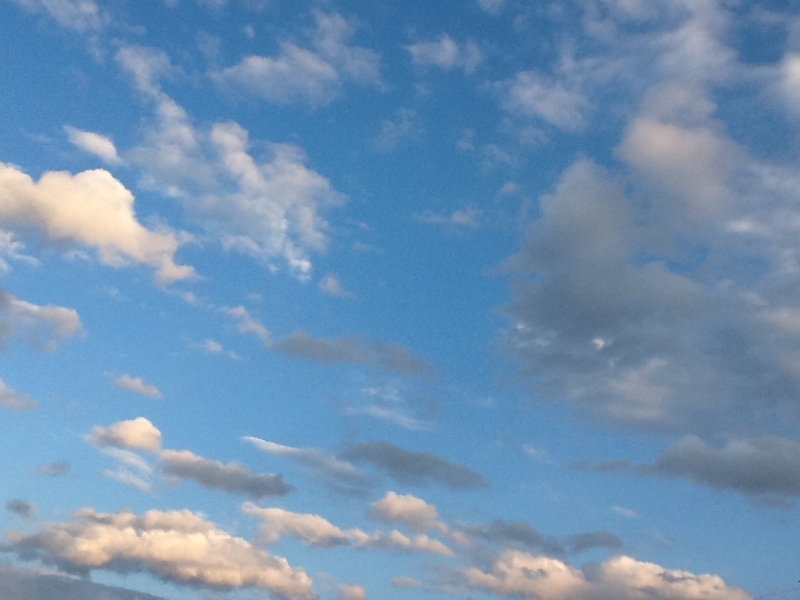 f:id:sky_blue_cherry_tree:20130623070636j:plain f:id:sky_blue_cherry_tree:20130623070636j:plain