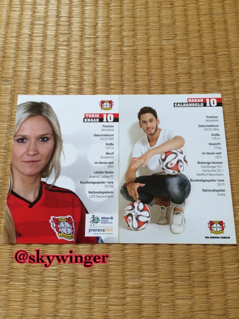 f:id:skywinger:20150223223900j:plain f:id:skywinger:20150223223900j:plain