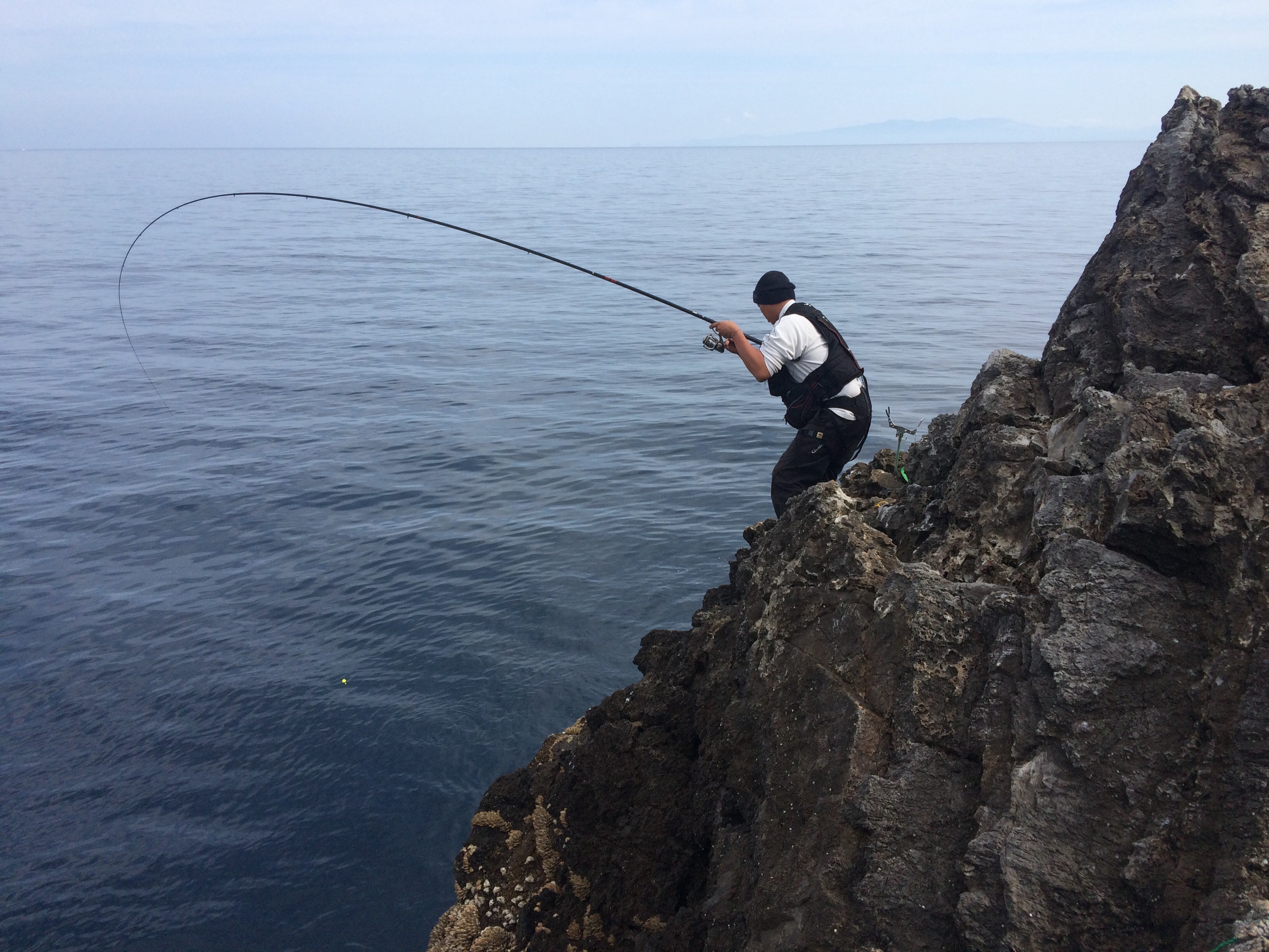 f:id:slackfish:20150510204616j:image f:id:slackfish:20150510204616j:image