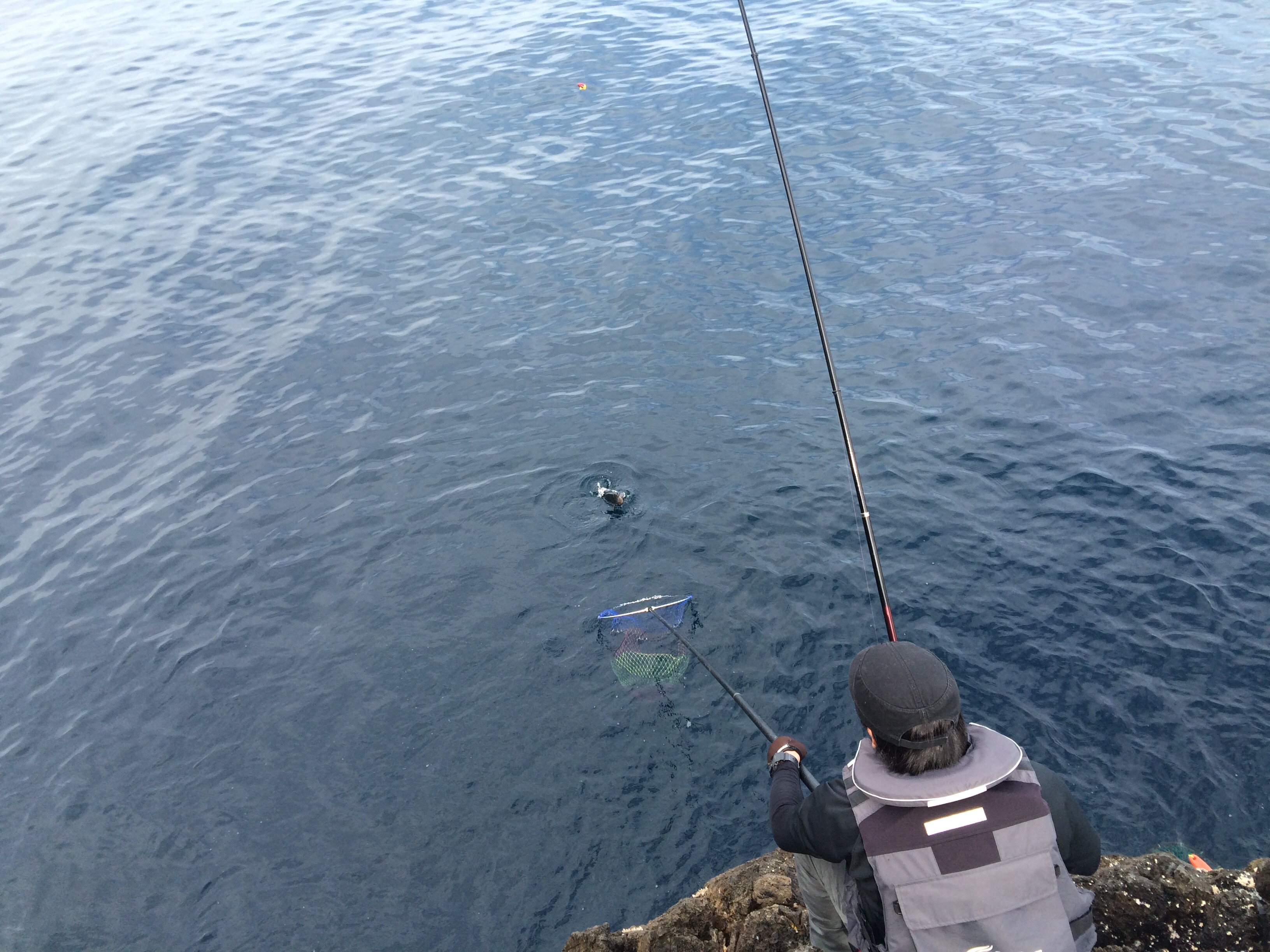 f:id:slackfish:20150510204636j:image f:id:slackfish:20150510204636j:image