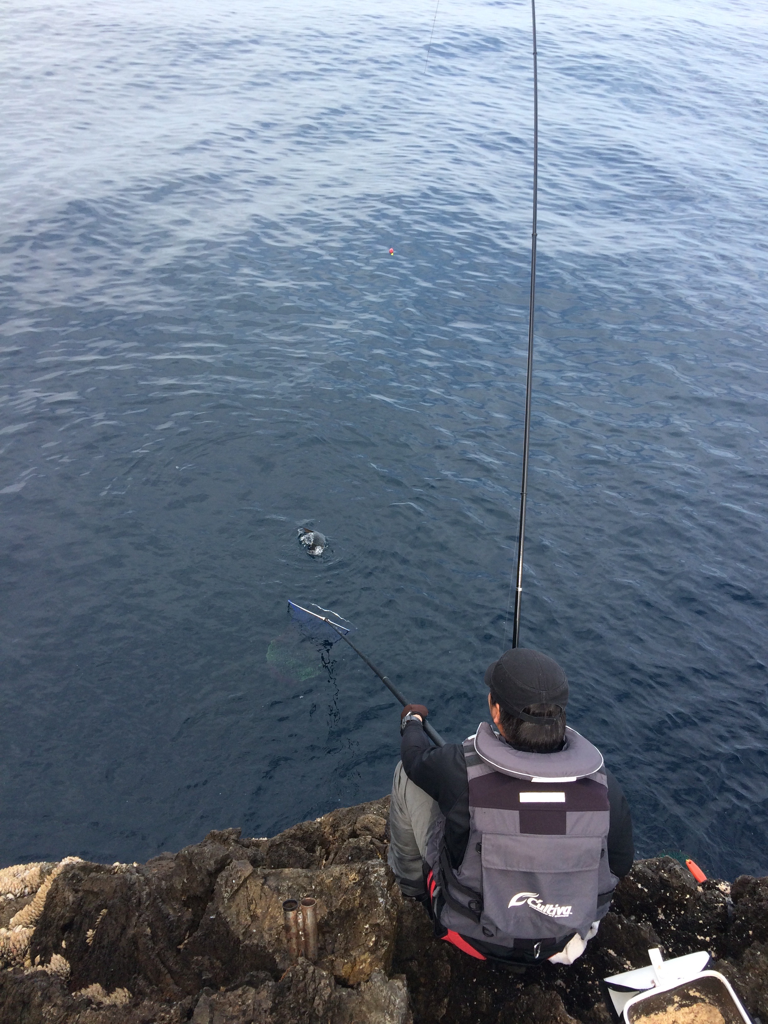 f:id:slackfish:20150510204751j:image f:id:slackfish:20150510204751j:image