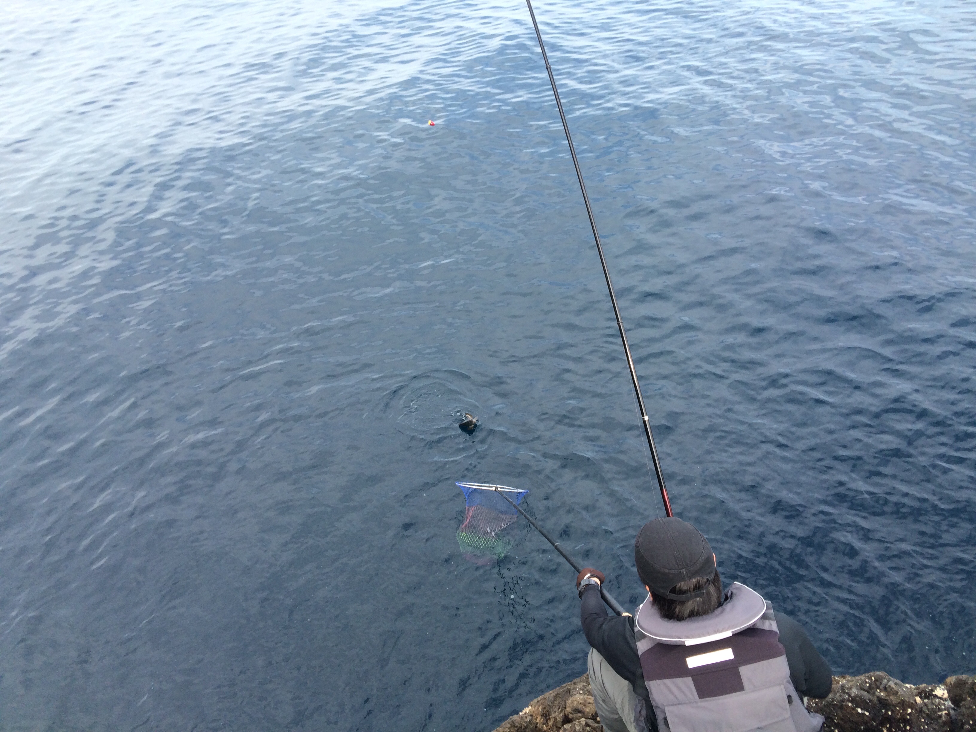 f:id:slackfish:20150510204849j:image f:id:slackfish:20150510204849j:image