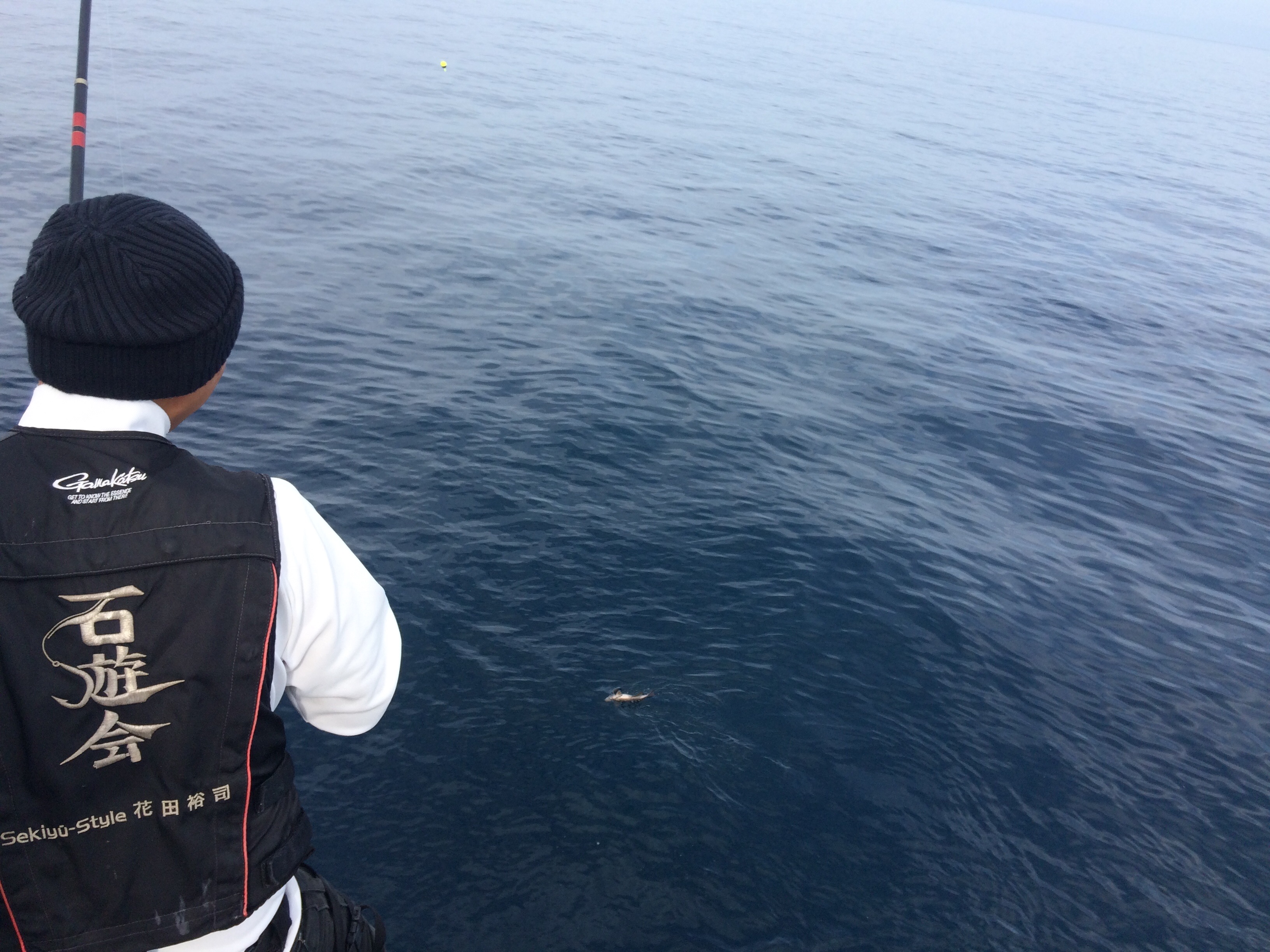 f:id:slackfish:20150510205007j:image f:id:slackfish:20150510205007j:image
