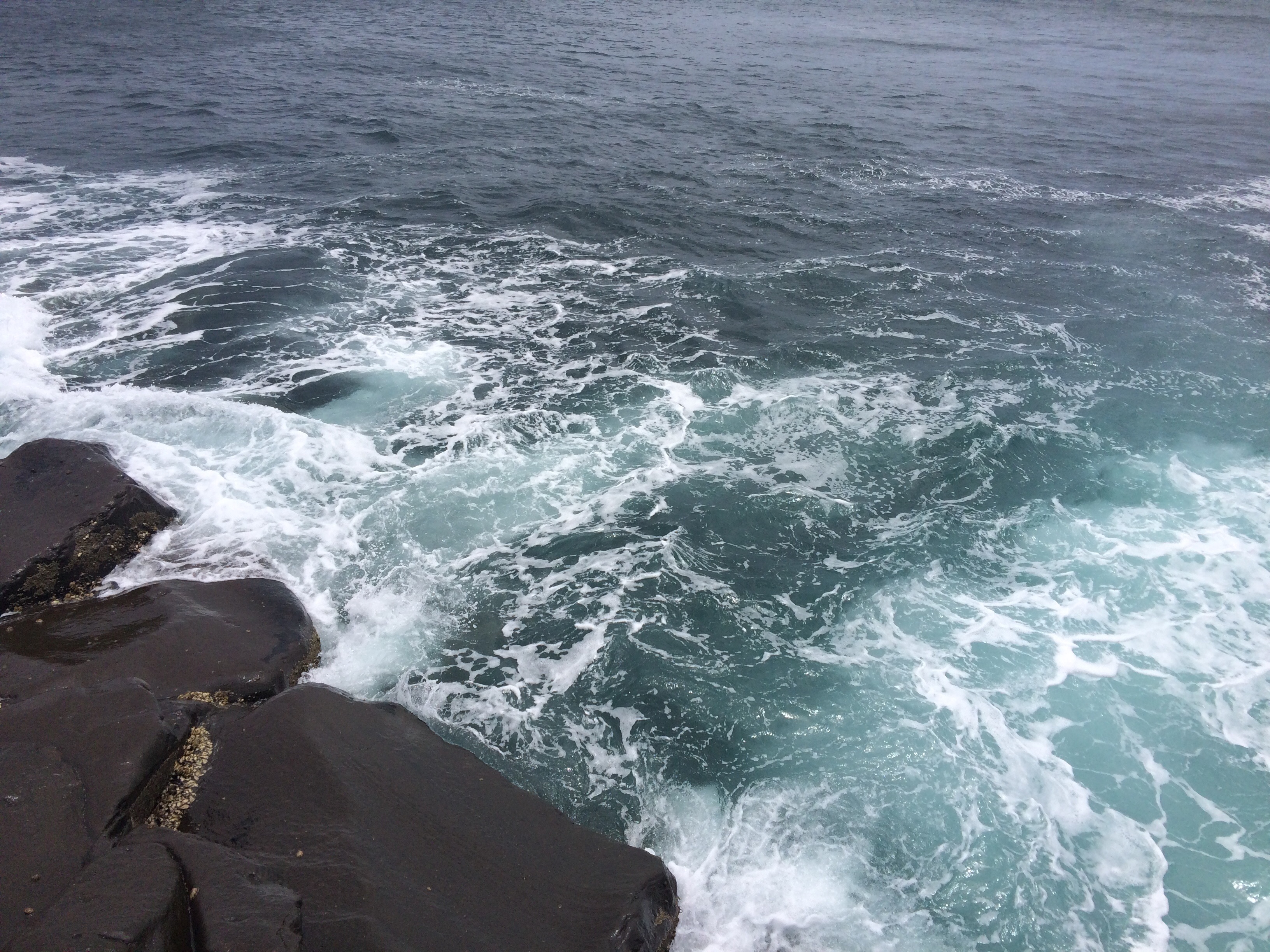 f:id:slackfish:20150512195759j:image f:id:slackfish:20150512195759j:image