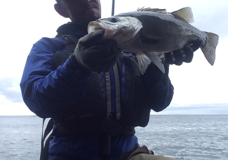 f:id:slackfish:20150512202600j:image f:id:slackfish:20150512202600j:image