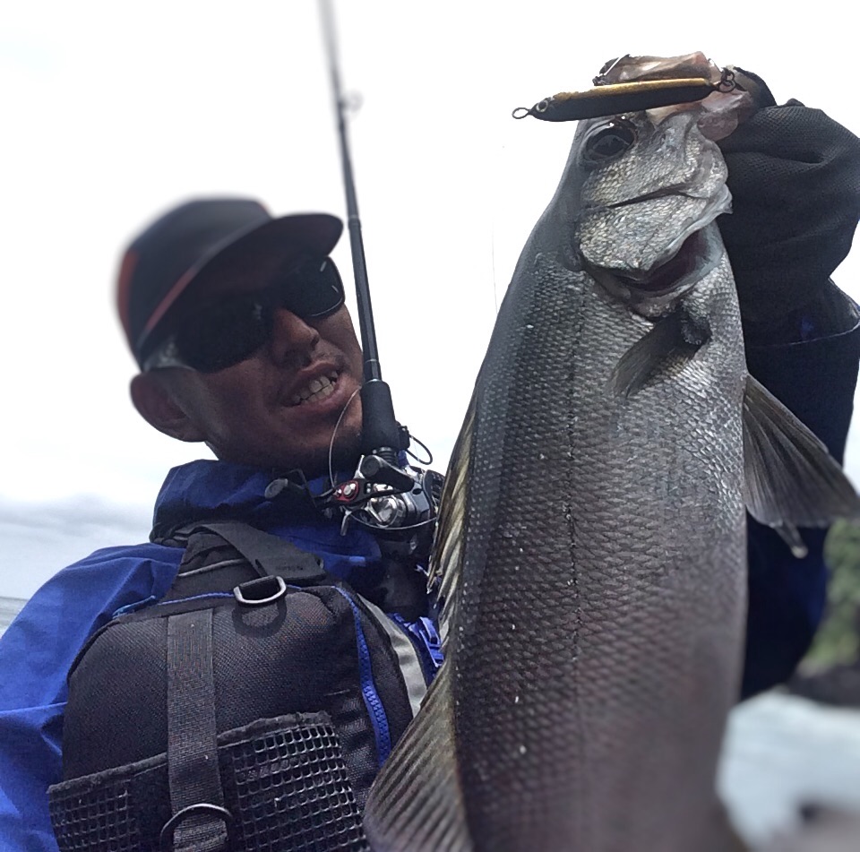 f:id:slackfish:20150512203330j:image f:id:slackfish:20150512203330j:image