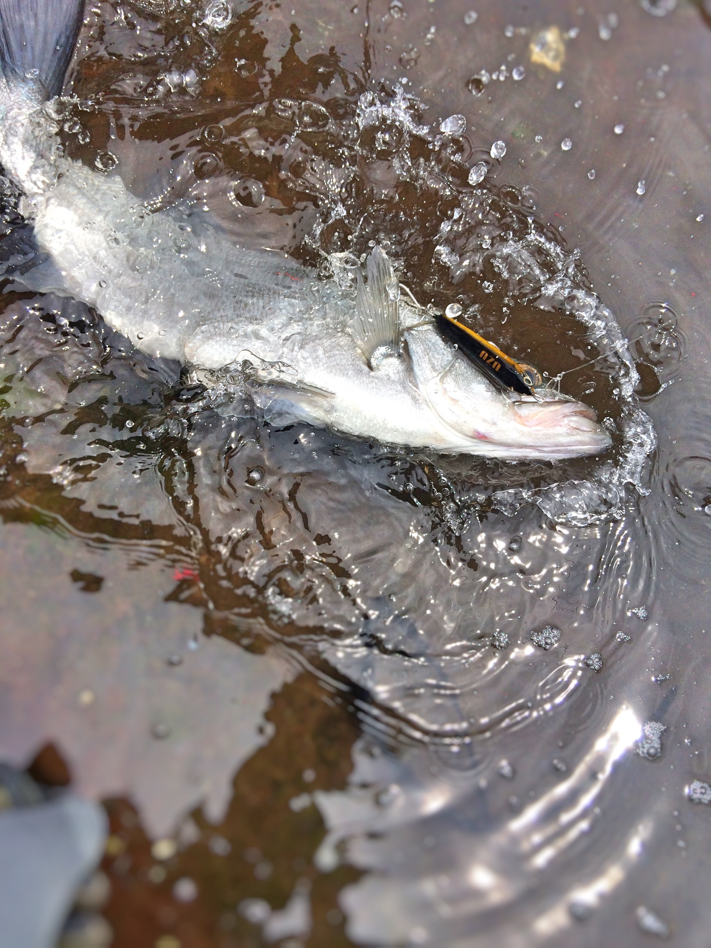 f:id:slackfish:20150512203411j:image f:id:slackfish:20150512203411j:image