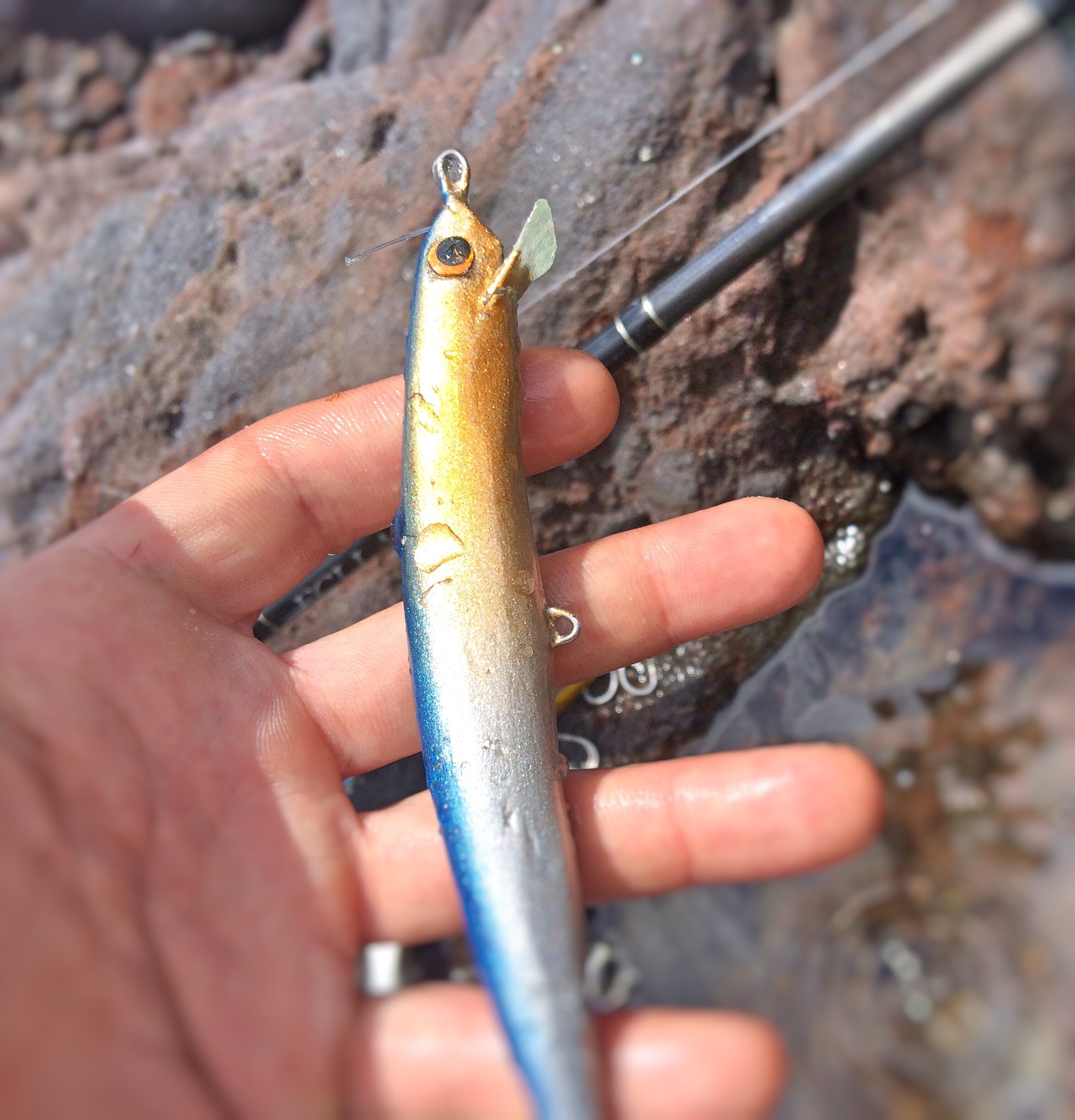 f:id:slackfish:20150512205232j:image f:id:slackfish:20150512205232j:image