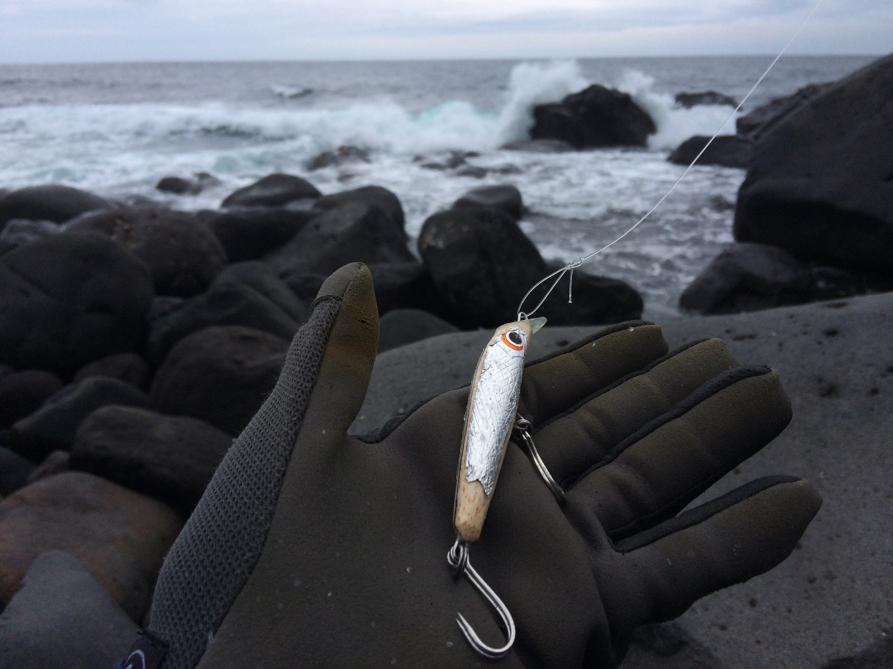 f:id:slackfish:20150627200434j:image f:id:slackfish:20150627200434j:image