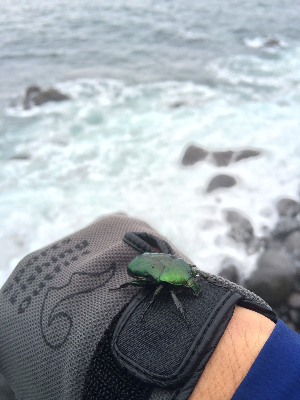 f:id:slackfish:20150627202712j:image f:id:slackfish:20150627202712j:image