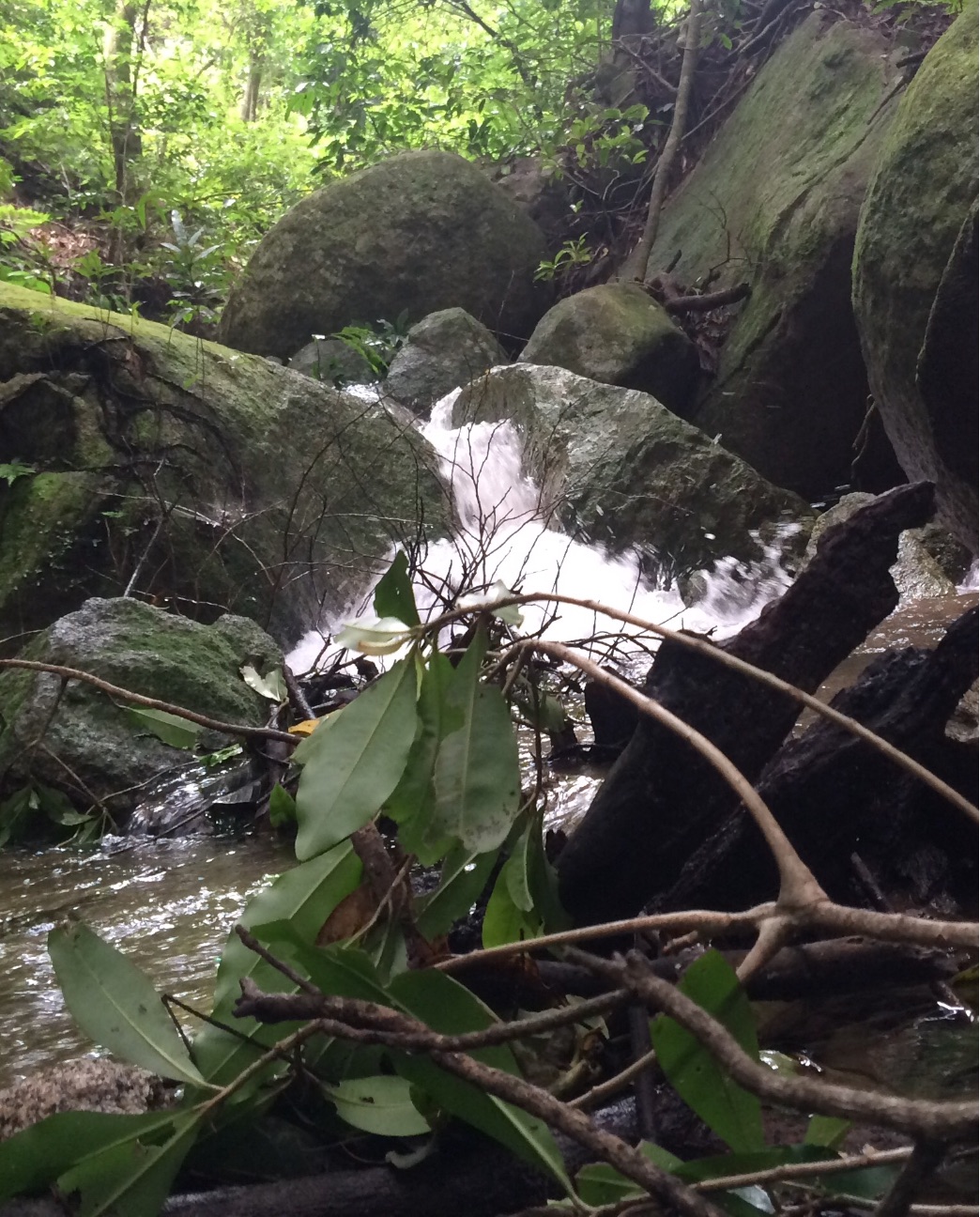 f:id:slackfish:20150701231510j:image f:id:slackfish:20150701231510j:image