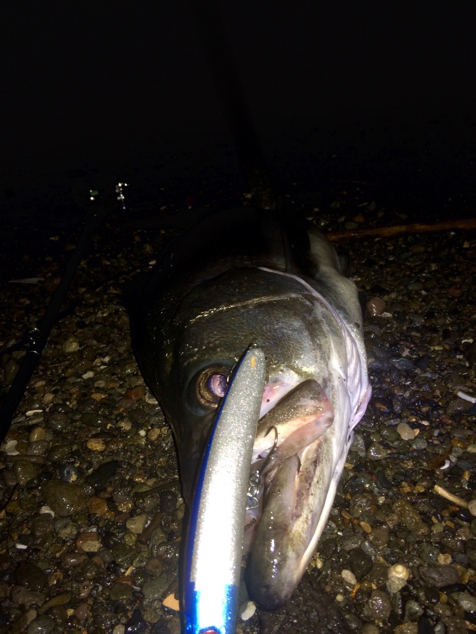 f:id:slackfish:20150707193917j:image f:id:slackfish:20150707193917j:image
