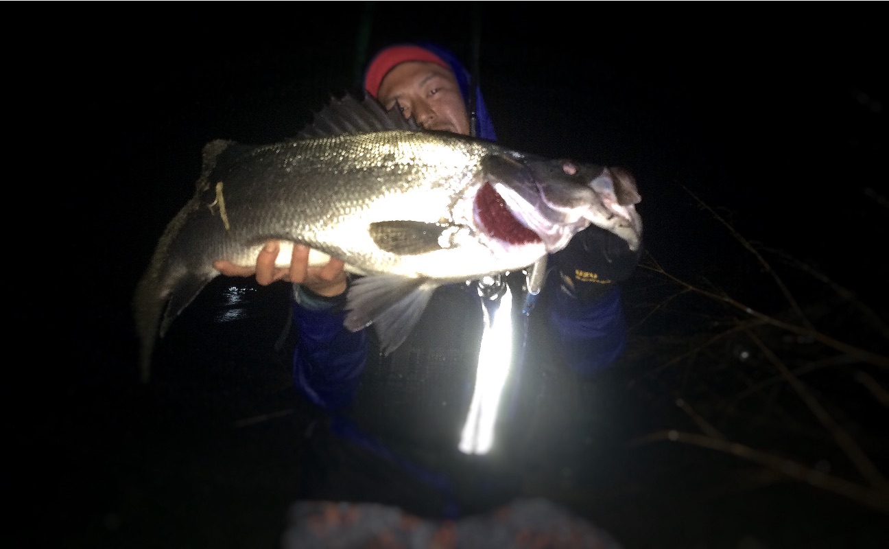 f:id:slackfish:20150707200340j:image f:id:slackfish:20150707200340j:image
