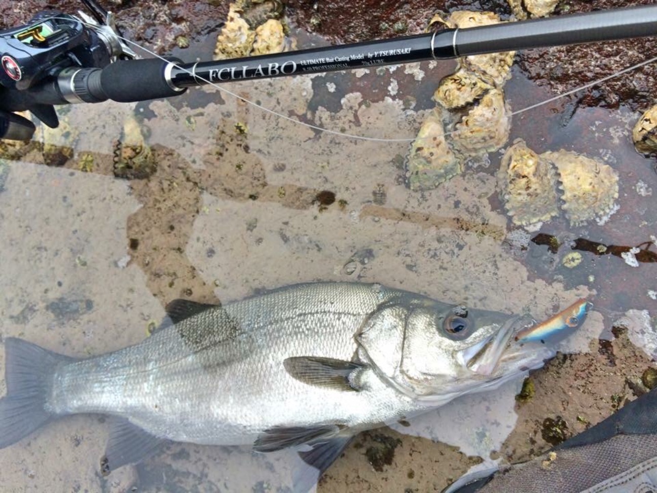 f:id:slackfish:20150707200517j:image f:id:slackfish:20150707200517j:image