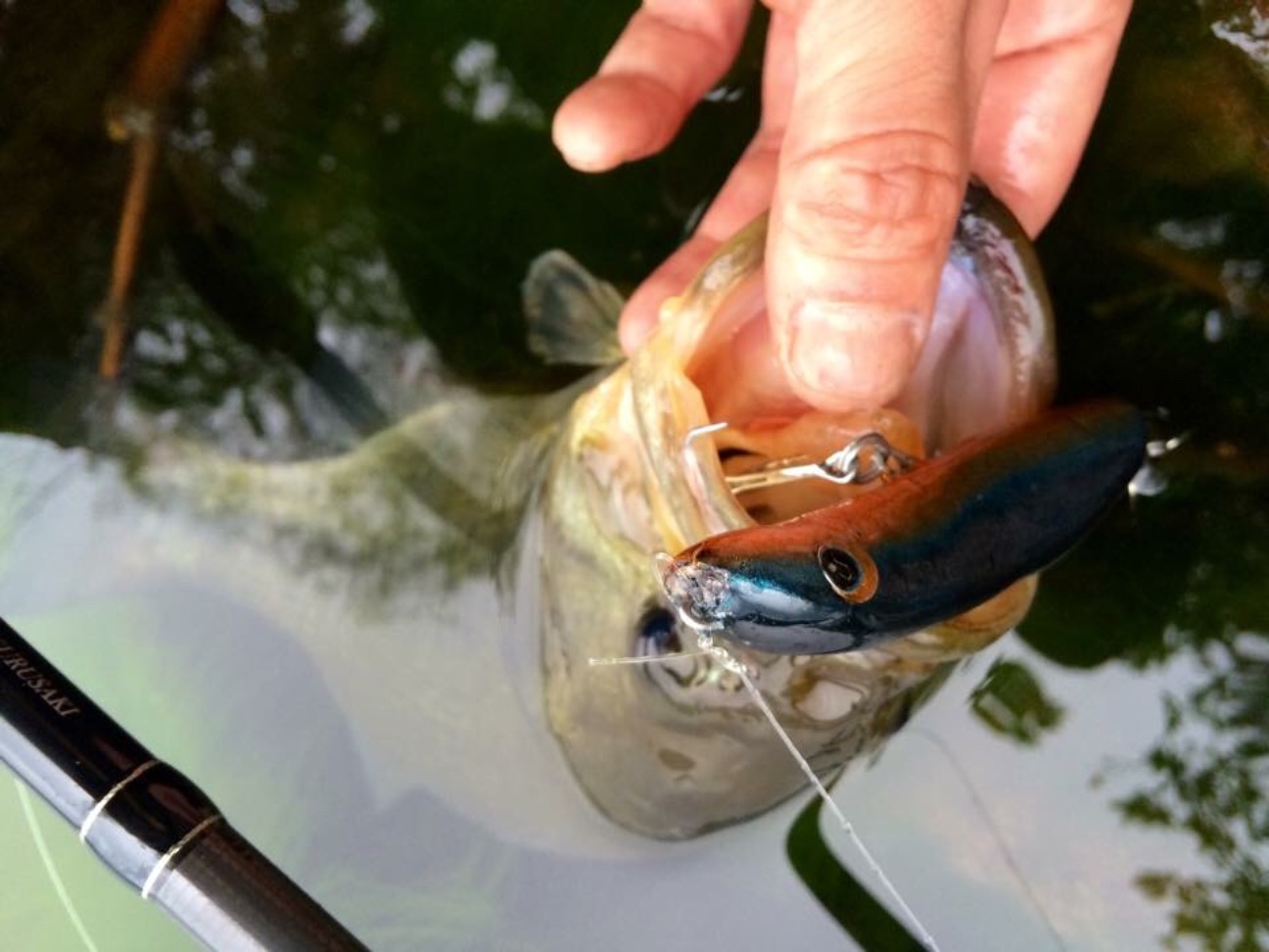 f:id:slackfish:20150707200547j:image f:id:slackfish:20150707200547j:image
