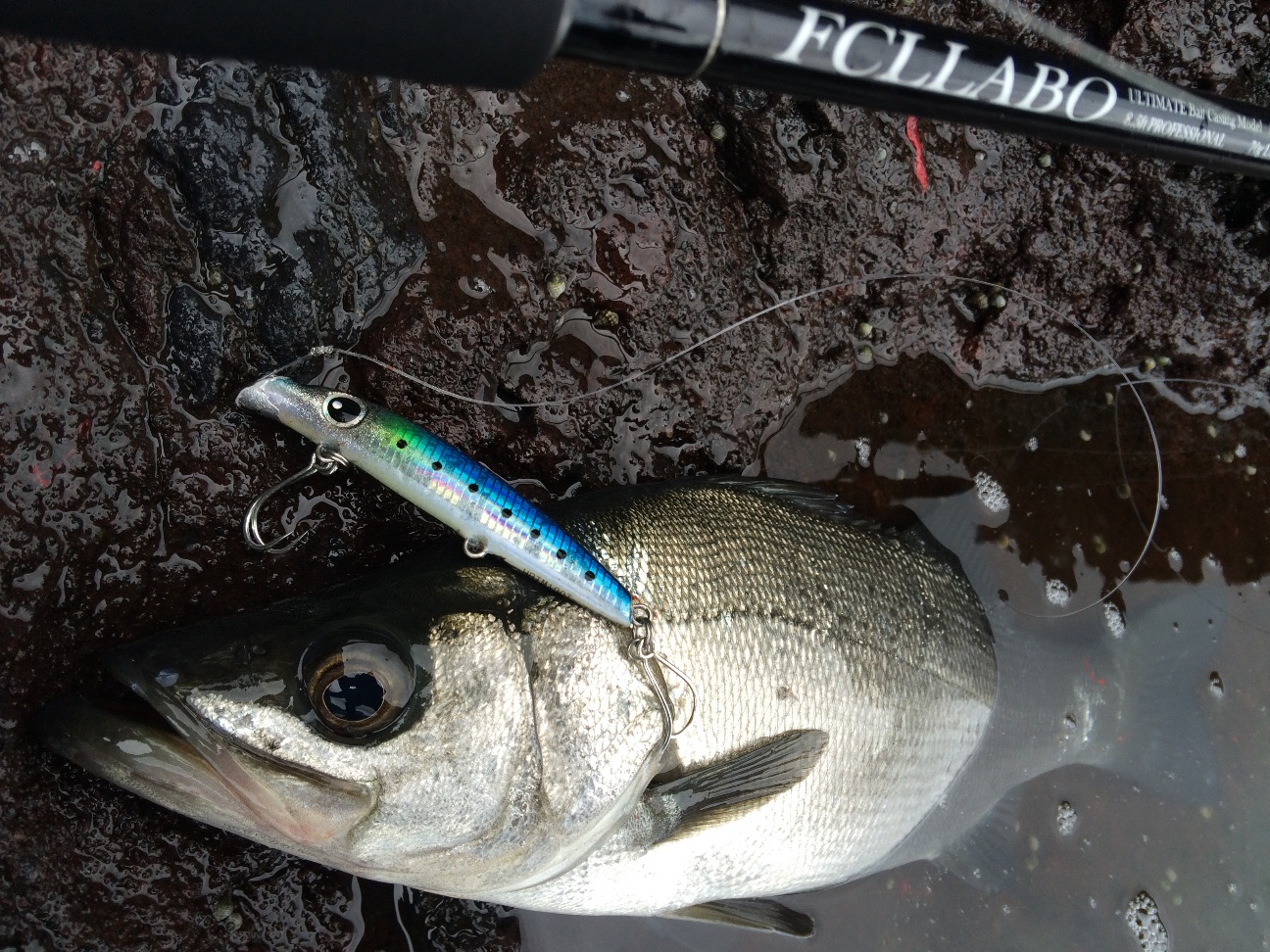 f:id:slackfish:20150707200748j:image f:id:slackfish:20150707200748j:image
