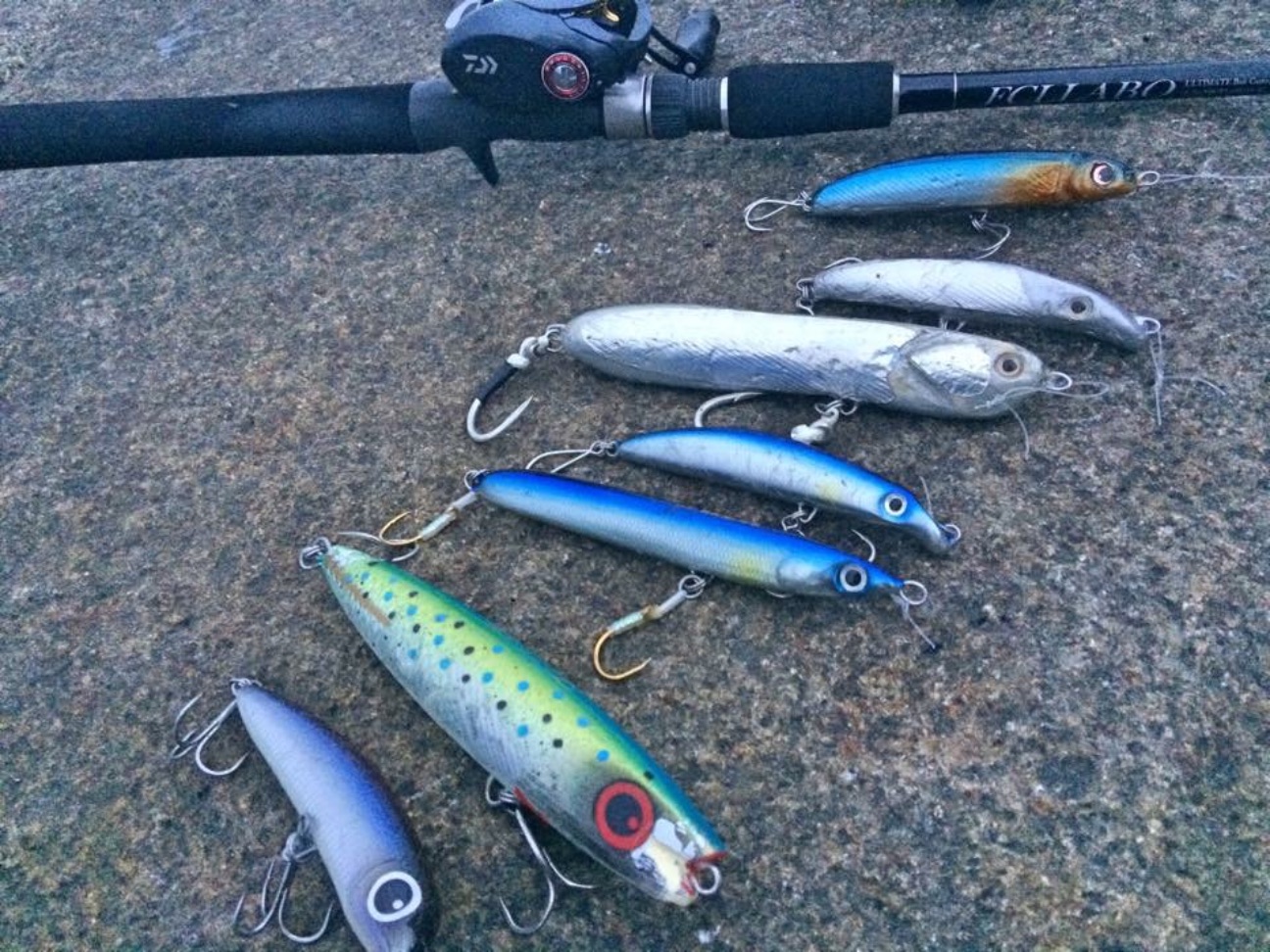 f:id:slackfish:20150707201111j:image f:id:slackfish:20150707201111j:image