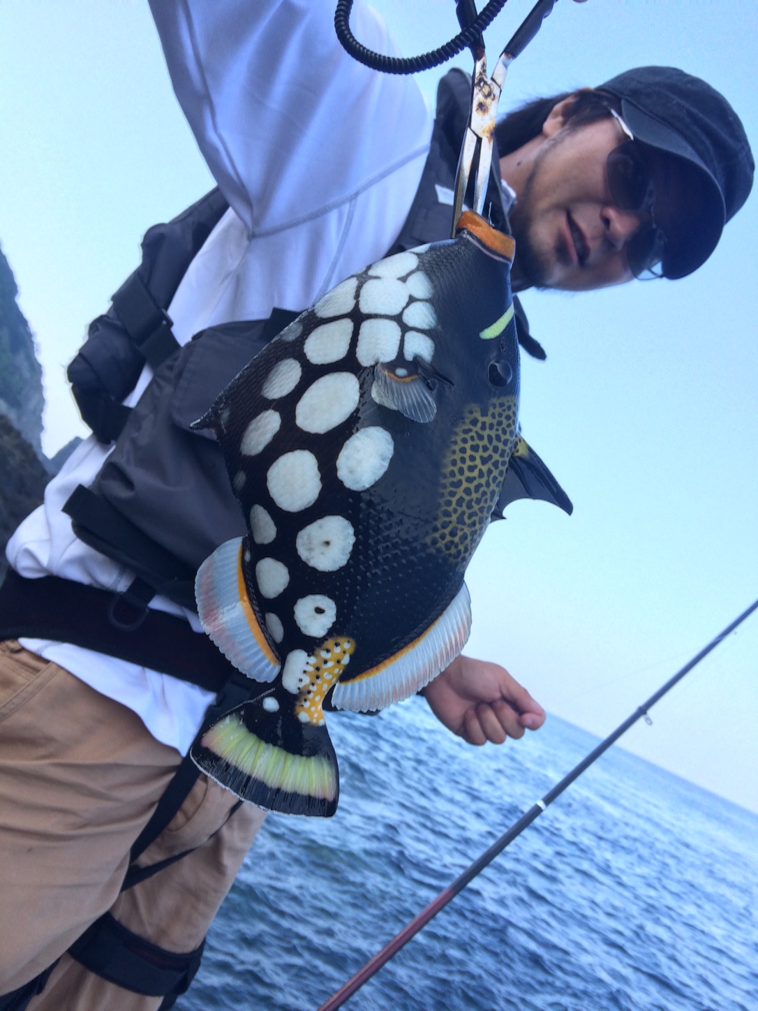 f:id:slackfish:20150804214541j:image f:id:slackfish:20150804214541j:image