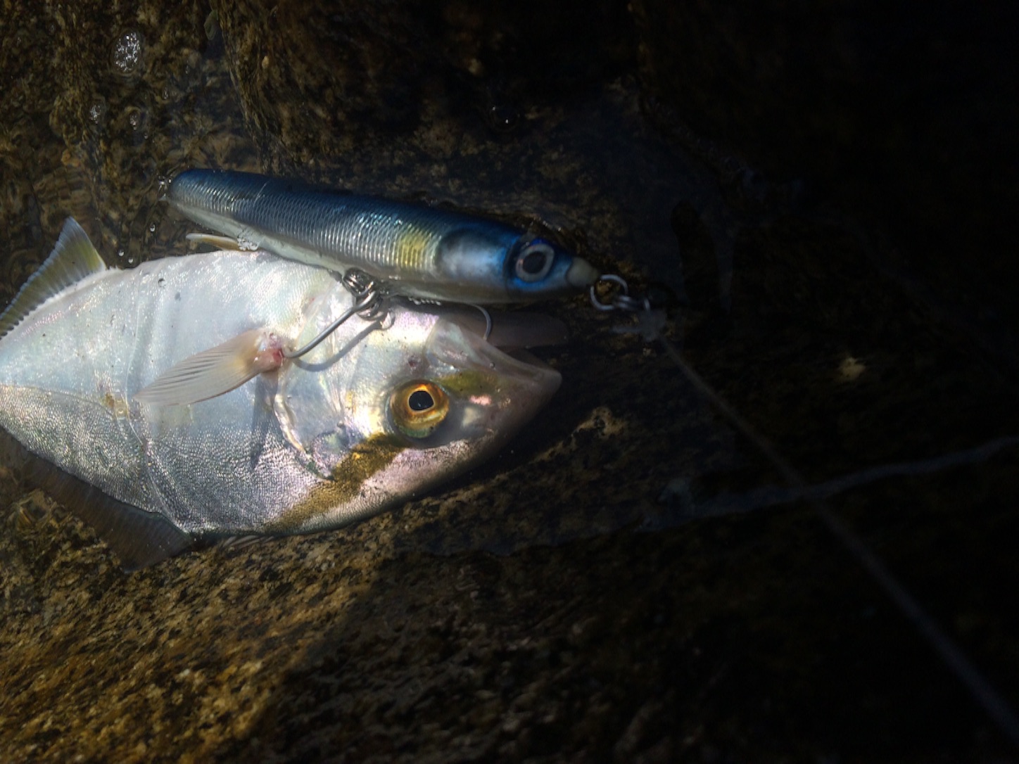 f:id:slackfish:20150809184652j:image f:id:slackfish:20150809184652j:image