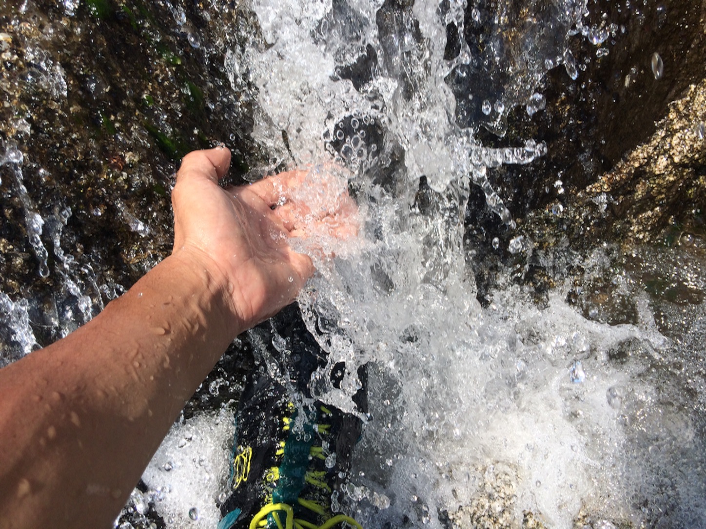 f:id:slackfish:20150809184832j:image f:id:slackfish:20150809184832j:image
