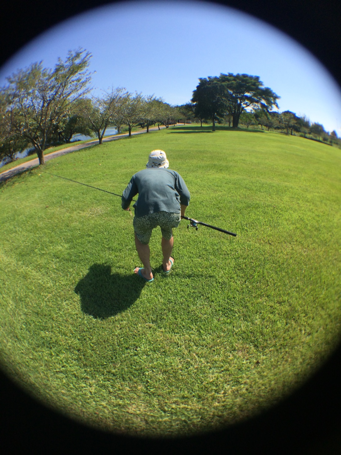 f:id:slackfish:20150823213830j:image f:id:slackfish:20150823213830j:image