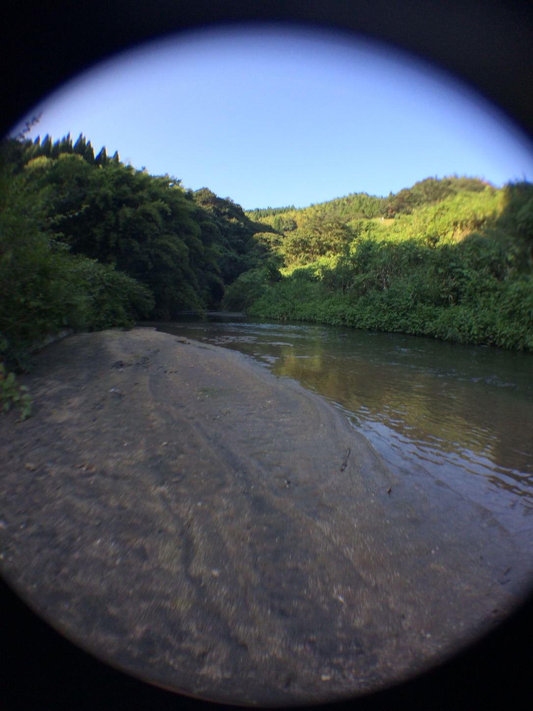 f:id:slackfish:20150823214209j:image f:id:slackfish:20150823214209j:image