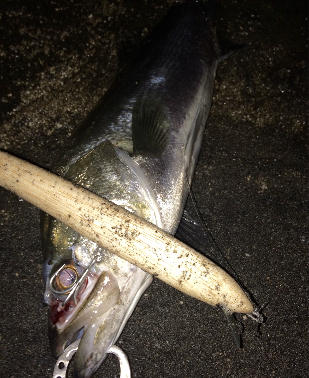 f:id:slackfish:20150907023737j:image f:id:slackfish:20150907023737j:image