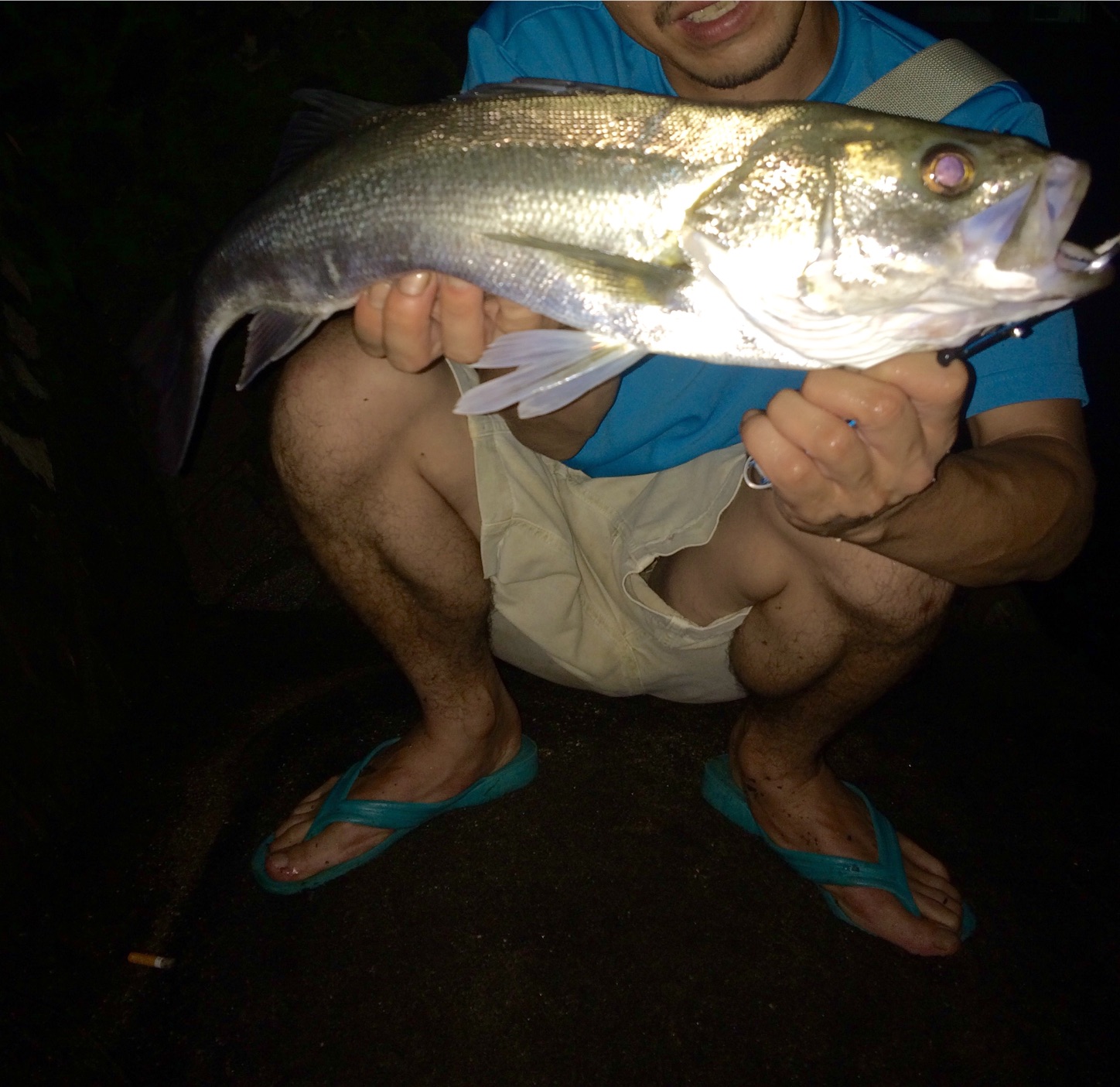 f:id:slackfish:20150907023932j:image f:id:slackfish:20150907023932j:image