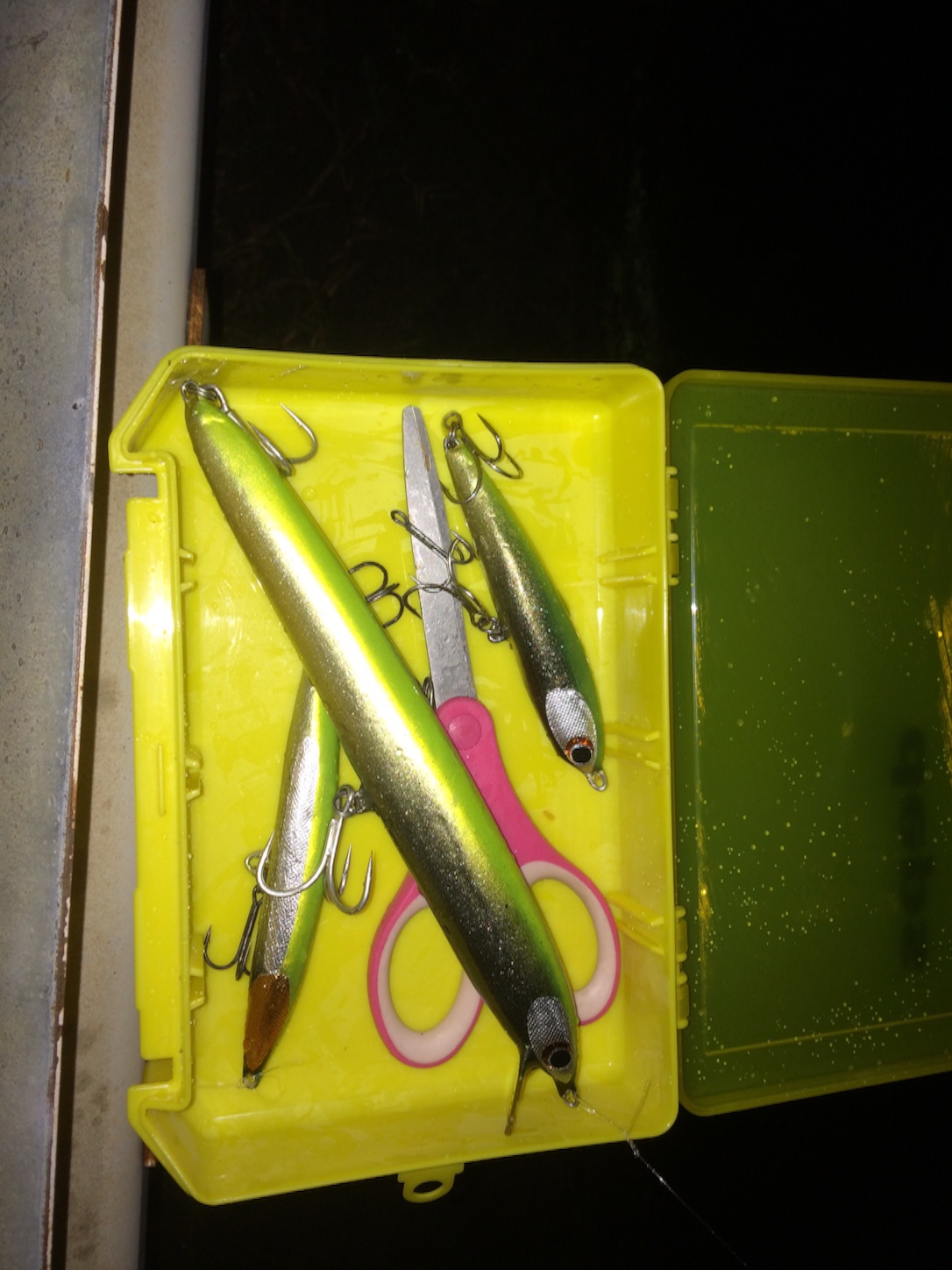 f:id:slackfish:20150918225142j:image f:id:slackfish:20150918225142j:image
