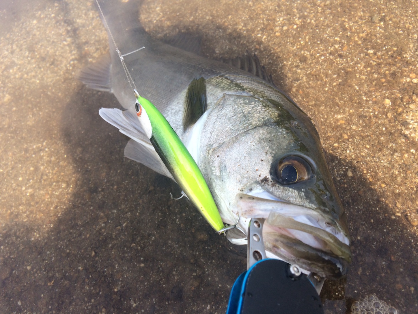 f:id:slackfish:20150921201252j:image f:id:slackfish:20150921201252j:image