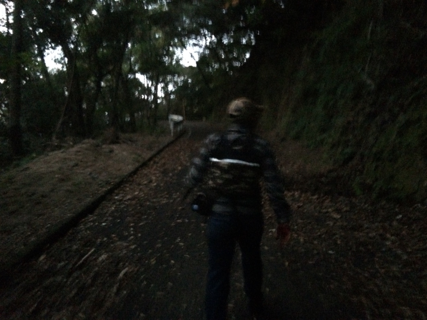 f:id:slackfish:20151101182620j:image f:id:slackfish:20151101182620j:image