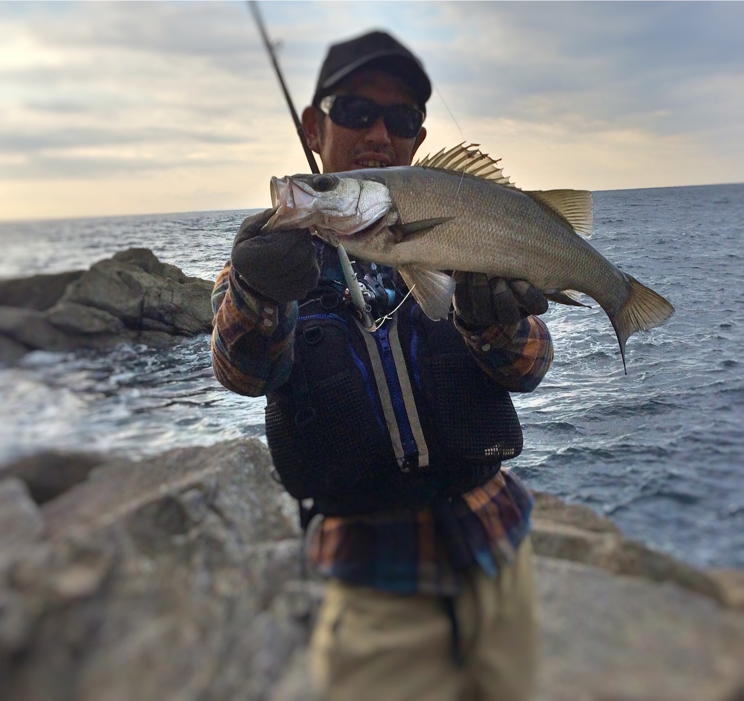 f:id:slackfish:20151101182828j:image f:id:slackfish:20151101182828j:image