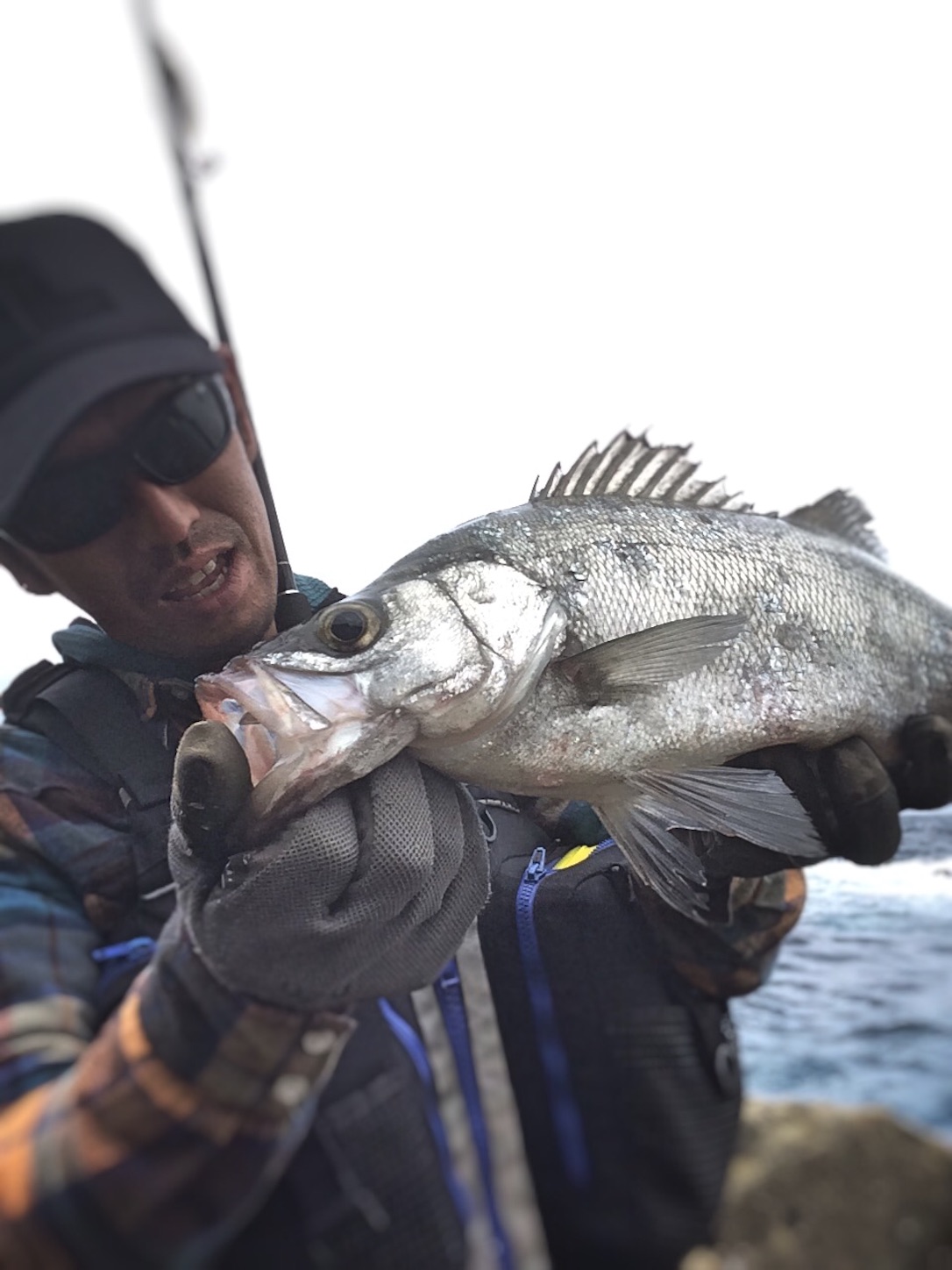 f:id:slackfish:20151101183353j:image f:id:slackfish:20151101183353j:image