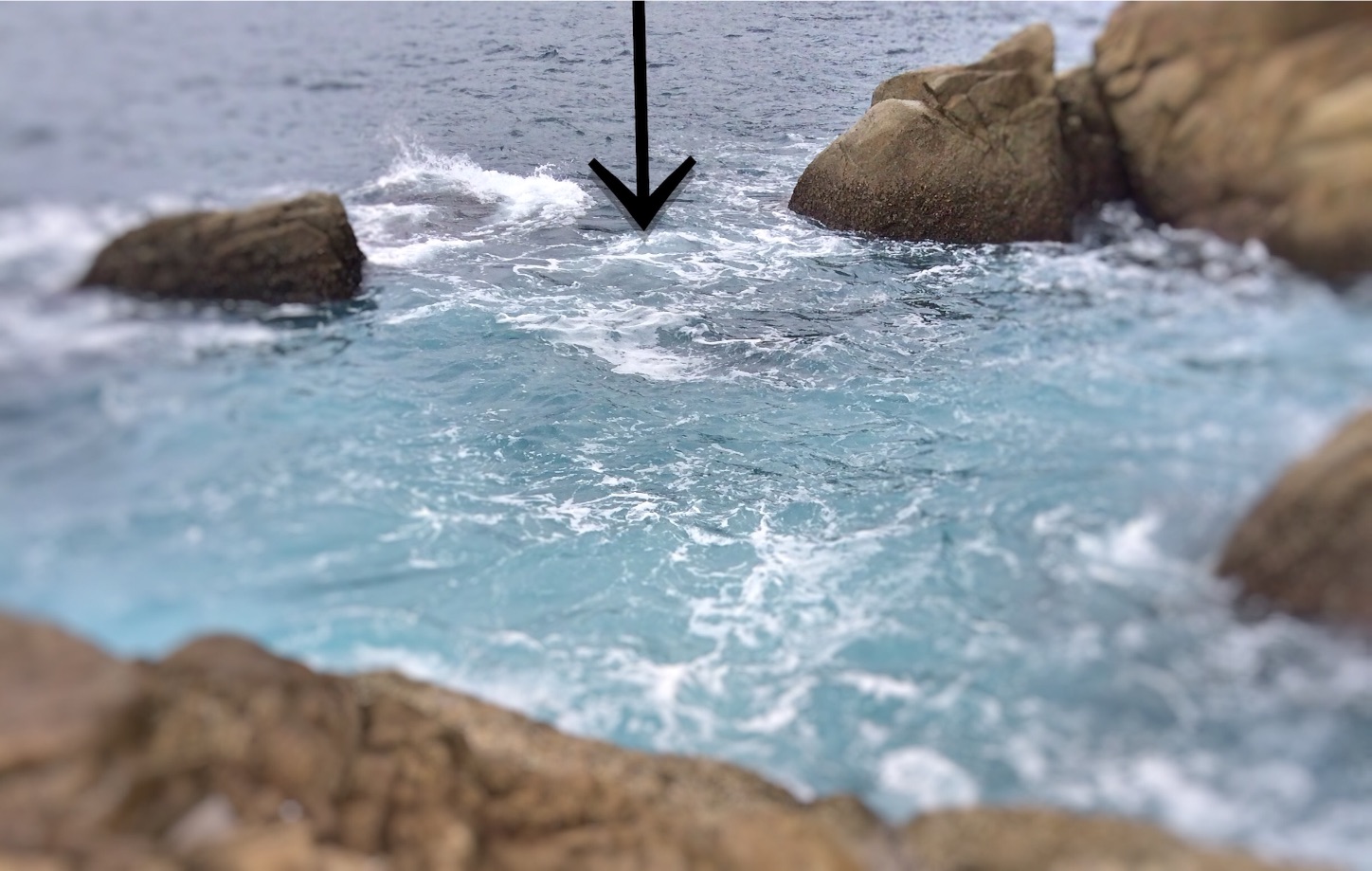 f:id:slackfish:20151122185743j:image f:id:slackfish:20151122185743j:image